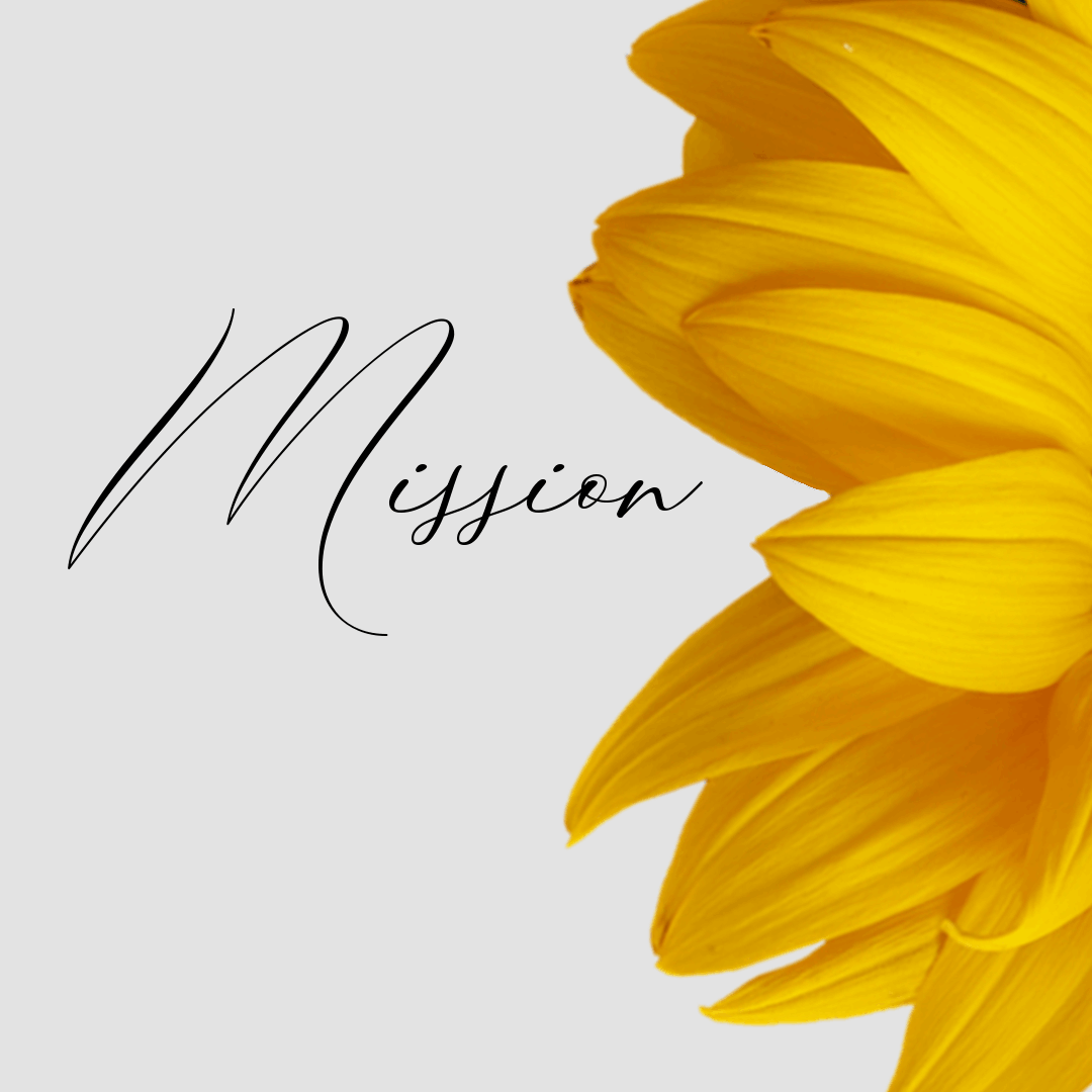 Sunshine Marie Network Mission